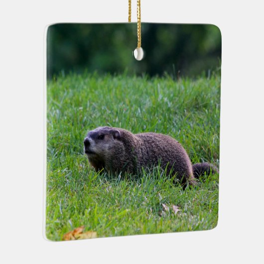 Devil's Hole Digger Keramikornament (Rechts)