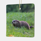 Devil's Hole Digger Keramikornament (Links)