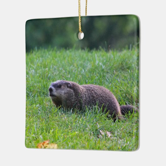 Devil's Hole Digger Keramikornament (Links)