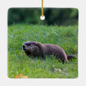 Devil's Hole Digger Keramikornament (Rückseite)