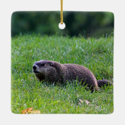 Devil's Hole Digger Keramikornament (Rückseite)