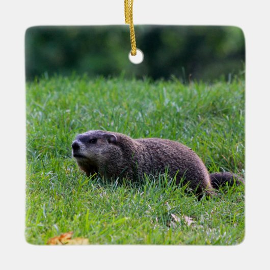 Devil's Hole Digger Keramikornament (Vorderseite)