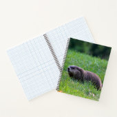 Devil's Hole Digger Notizblock (Innenseite)