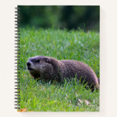 Devil's Hole Digger Notizblock (Vorderseite)