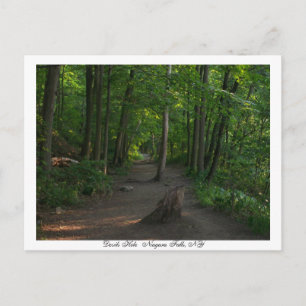 Devils    HoleNiagara Falls, NY Postkarte