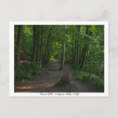 Devils    HoleNiagara Falls, NY Postkarte (Vorderseite)