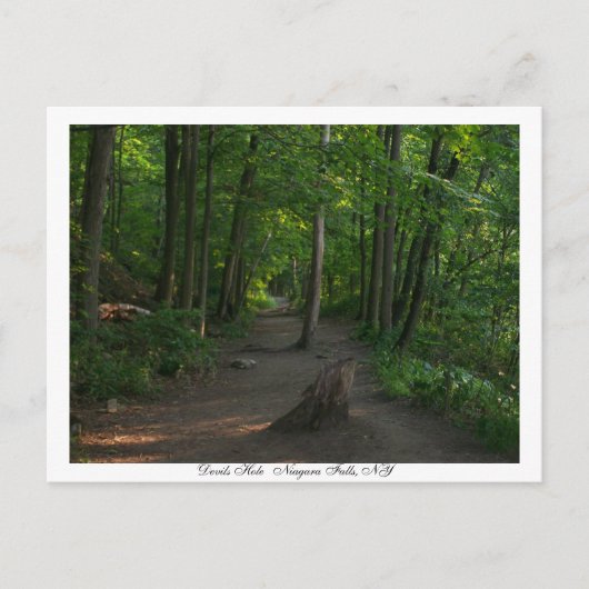 Devils HoleNiagara Falls, NY Postkarte (Vorderseite)