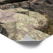 Devils Lake Staat Park Poster (Ecke)