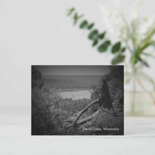 Devils Lake Staat Park Postkarte (Stehend Vorderseite)