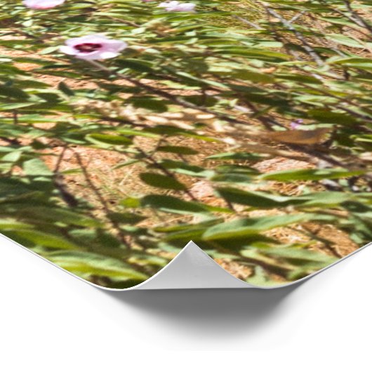 Devils Marbles Northern Territory Australia Poster (Ecke)