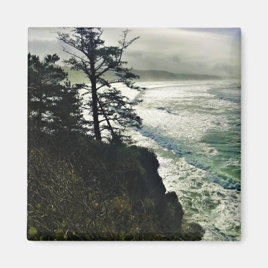 Devil's Punchbowl Staat Park, Newport, Oregon Magnet (Vorne)