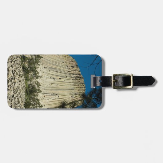 Devils Tower Easy ID Personal Gepäckanhänger (Vorderseite horizontal)