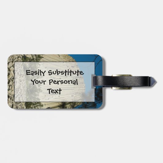 Devils Tower Easy ID Personal Gepäckanhänger (Rückseite horizontal)