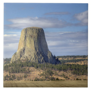 Devils Tower National Monument Fliese