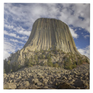 Devils Tower National Monument Fliese