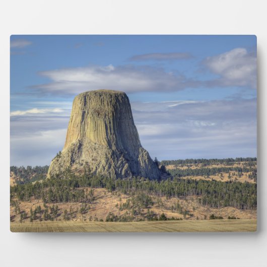 Devils Tower National Monument Fotoplatte (Vorderseite)