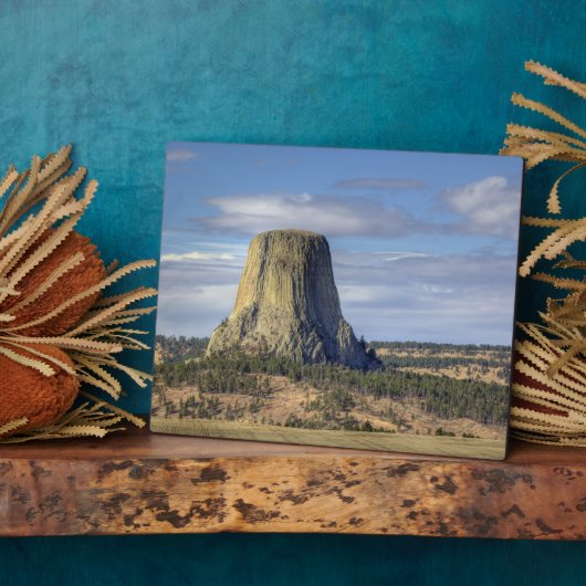 Devils Tower National Monument Fotoplatte (Seite)