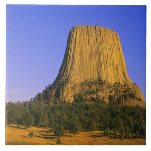 Devils Tower National Monument in Wyoming Fliese