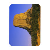 Devils Tower National Monument in Wyoming Magnet (Vertikal)