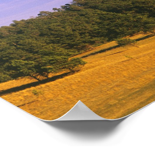 Devils Tower National Monument in Wyoming Poster (Ecke)