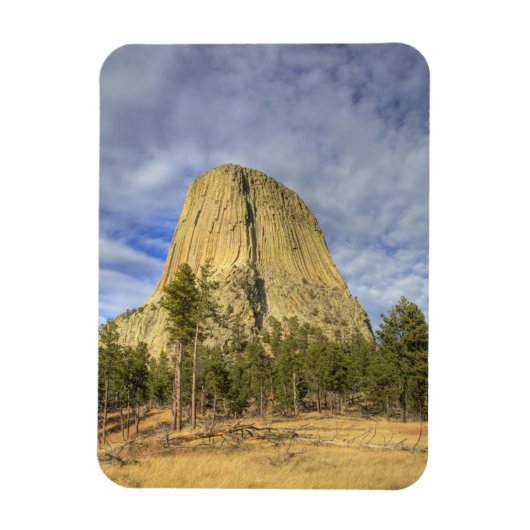 Devils Tower National Monument Magnet (Vertikal)