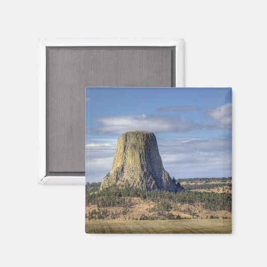 Devils Tower National Monument Magnet (Vorderseite/Rückseite)