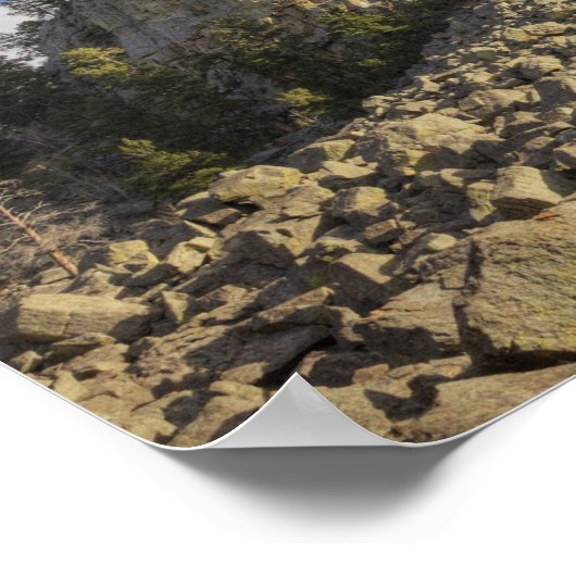 Devils Tower National Monument Poster (Ecke)