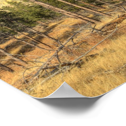 Devils Tower National Monument Poster (Ecke)