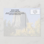 Devils Tower National Monument Trees Fall Foliage Postkarte (Rückseite)