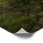 Devils Tower Poster (Ecke)