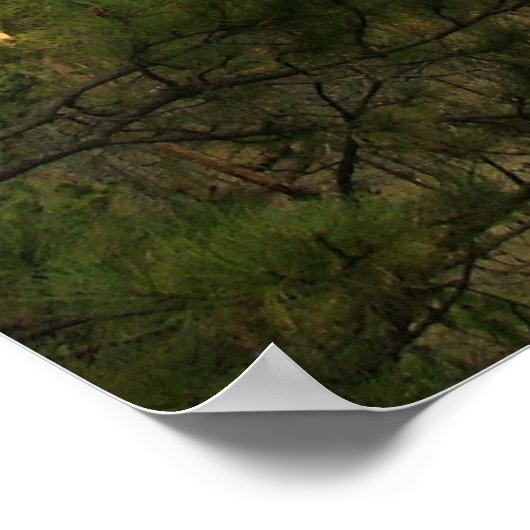 Devils Tower Poster (Ecke)