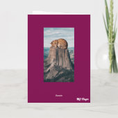 Devil's Tower Tabby Karte (Rückseite)