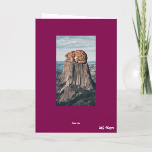 Devil's Tower Tabby Karte (Rückseite)