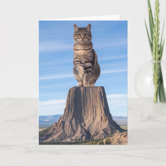 Devil's Tower Tabby Karte (Vorderseite)