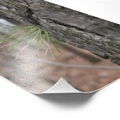 Devin Michael Figueroa 00010 Fotodruck (Ecke)