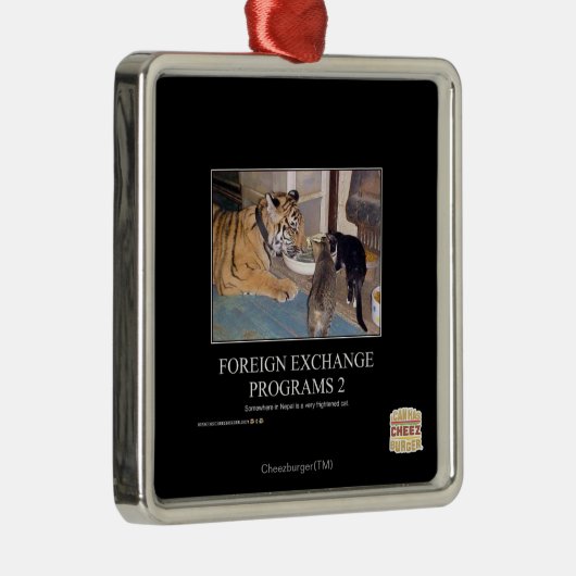 Devisenkurs-Programme 2 Silbernes Ornament (Rechts)