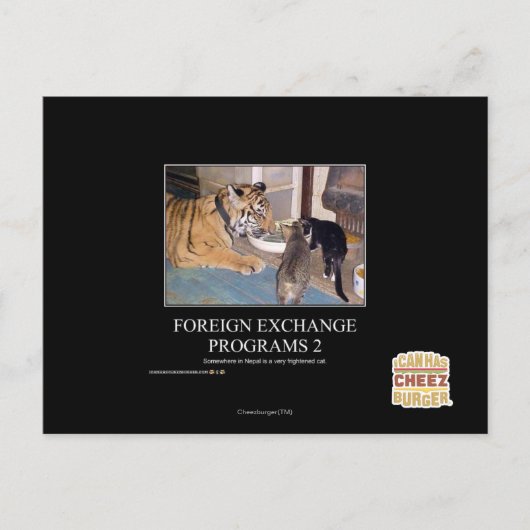 Devisenprogramme 2 postkarte (Vorderseite)