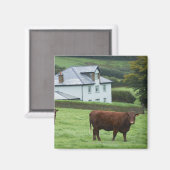 Devon, England Magnet (Vorderseite/Rückseite)