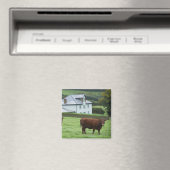 Devon, England Magnet (In Situ (Geschirrspüler))