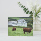 Devon, England Postkarte (Stehend Vorderseite)