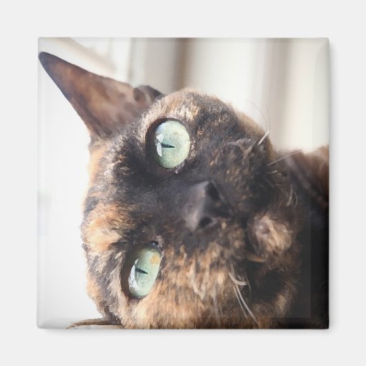 Devon Rex Cat Magnet (Vorne)