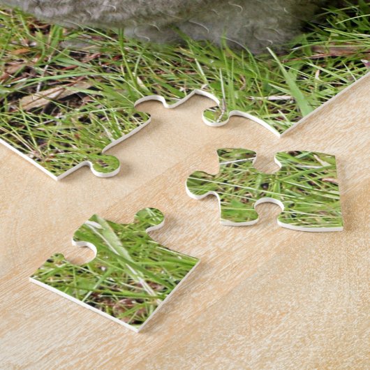 Devon Rex Hauskatze im Garten Puzzle (Seite)