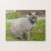 Devon Rex Hauskatze im Garten Puzzle (Horizontal)
