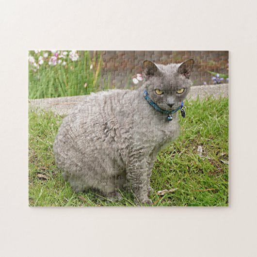 Devon Rex Hauskatze im Garten Puzzle (Horizontal)