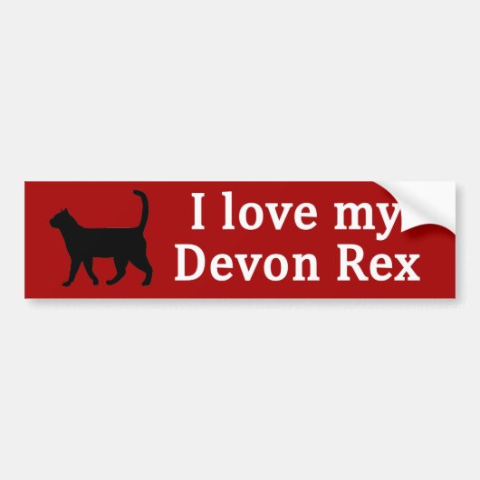 Devon Rex Liebe Autoaufkleber (Vorne)