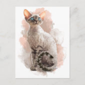 Devon Rex Sofi Postkarte (Vorderseite)