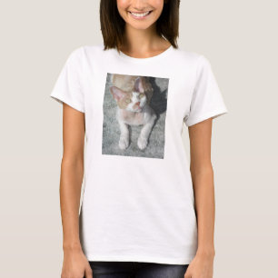 Devon Rex süß T-Shirt
