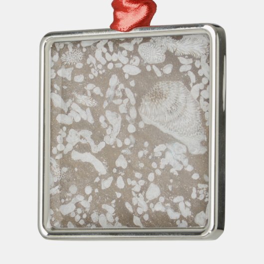 Devonian Fossil Brown & White Christmas Ornament (Links)
