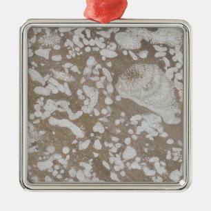 Devonian Fossil Brown & White Christmas Ornament Aus Metall
