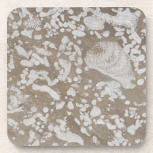 Devonian Fossil Brown & White Drinks Coasters Untersetzer
